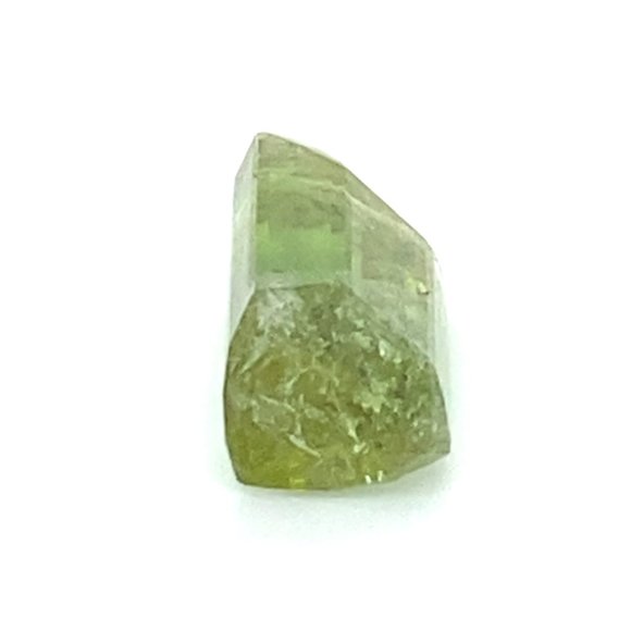 BiColor Tourmaline 9.20ct - Picture 3 of 8